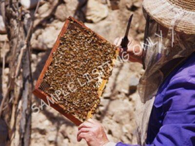 Pure Tunisia Honey